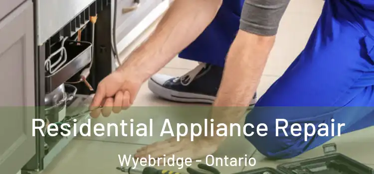 Residential Appliance Repair Wyebridge - Ontario